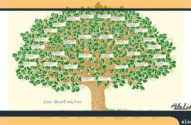 شجرة العائله كيف تعرف نسبك و نسب عائلتك موقع السلطة منوعات